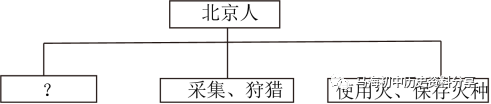 部编版历史七上第1课：《中国早期人类代表——北京人》期末考前小测