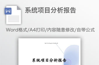 系统项目分析报告
