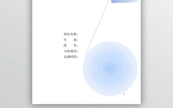 系统项目分析报告