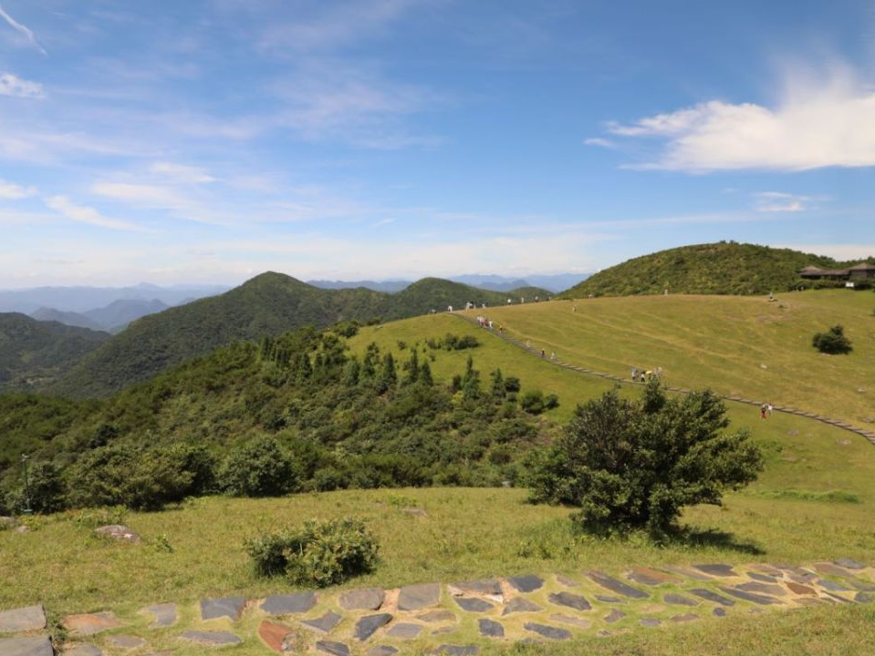 福州历史天气查询_福州历史天气预报_福州历史天气2345