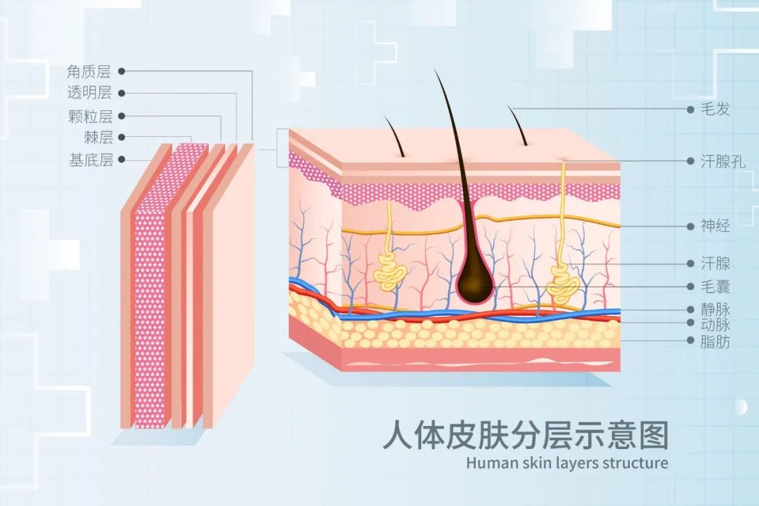 探索人类的伟大奇迹_探索人类_探索人类的飞天梦