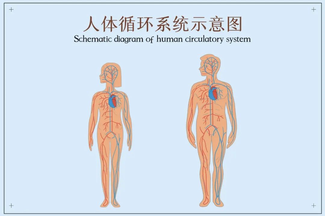 探索人类的伟大奇迹_探索人类_探索人类的飞天梦