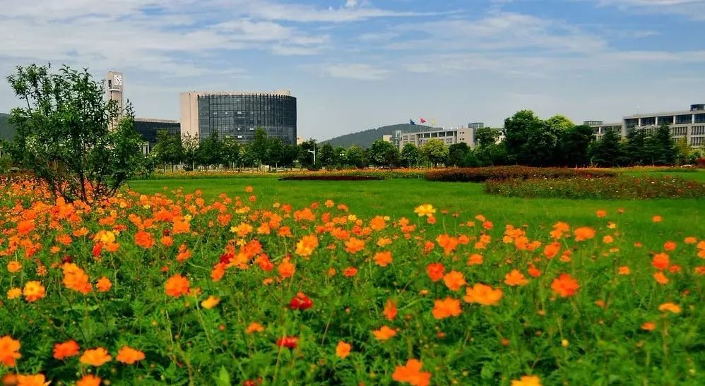 中国研究生学位与信息网_中国学位与研究生信息教育网_中国学位与研究生信息网