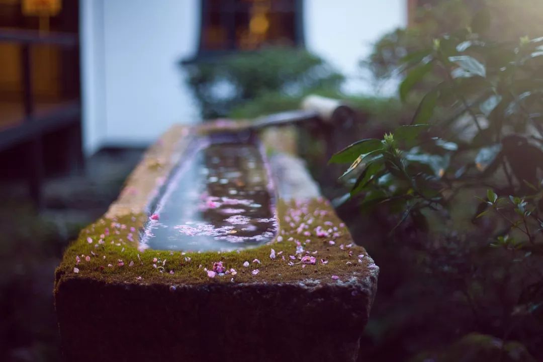 柴姓历史名人简写_柴姓的来源和历史研究报告_柴姓的来源和历史人物