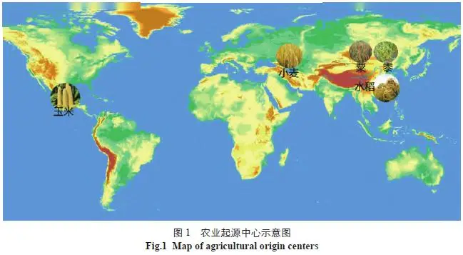 农业历史有多久_中国农业历史_农业历史