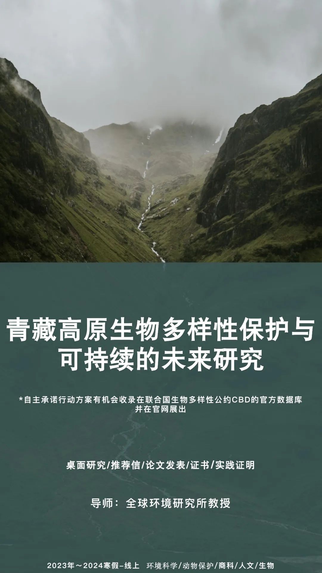 大学社会实践报告一千字_大学社会实践报告1500字_社会实践报告1500大学生