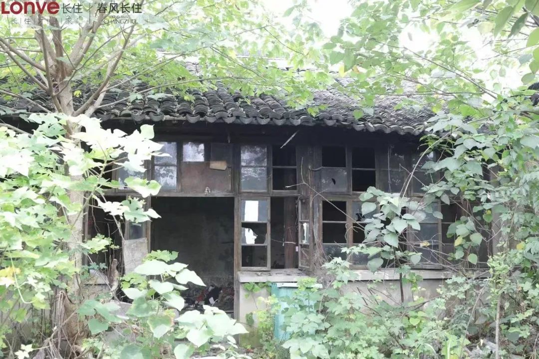 顾的名人_顾氏历史名人_顾的历史名人