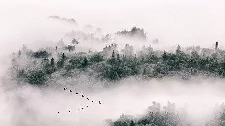 《红星照耀中国》人物的形象_红星照耀中国人物形象_红星照中国中的人物形象