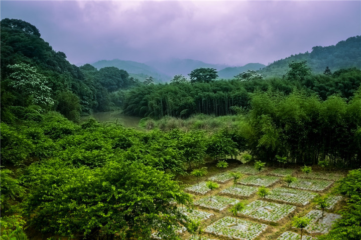 探寻历史足迹_探寻历史的痕迹_历史探寻