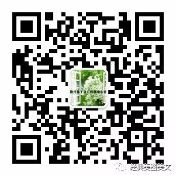 亲属社会关系政治情况_家庭社会关系政历清楚_家庭重要社会关系政历情况模板