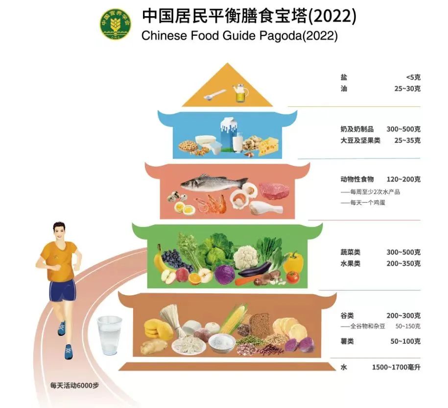 中国学生营养与健康促进网站_中国学生营养与健康的放心品牌_中国学生营养日