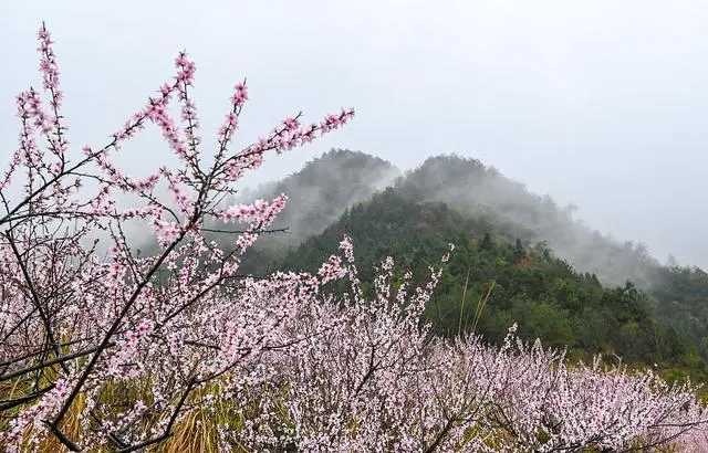 社会上怎么做人_做个社会人_在社会上应该怎么做人