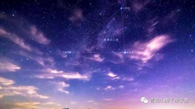 宇宙探索编辑部在线观看_探索宇宙._宇宙探索编辑部电影