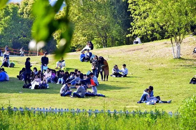 法国学制_法国学制从小学到大学_法国学校制度