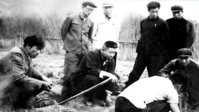 塞罕坝林场视频_塞罕坝林场的历史_塞罕坝林场真实故事