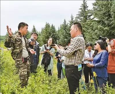 塞罕坝林场真实故事_塞罕坝林场简介事迹_塞罕坝林场的历史
