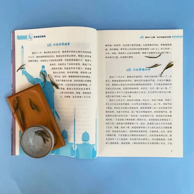 真实历史_真实历史改编的电视剧_真实历史中的康熙是怎样的