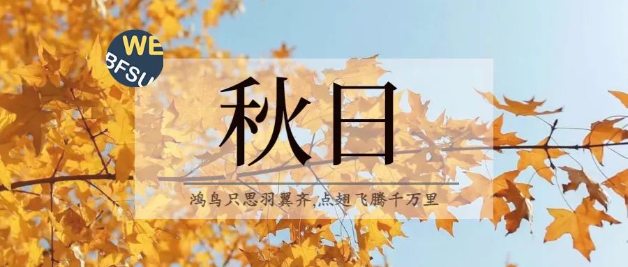 全球文明与青年责任｜“青年的当代使命”访澳交流团墨尔本大学实践回顾