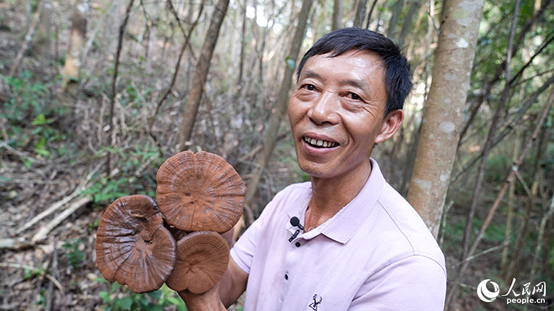 探索之_探索星球_探索宇宙的边缘