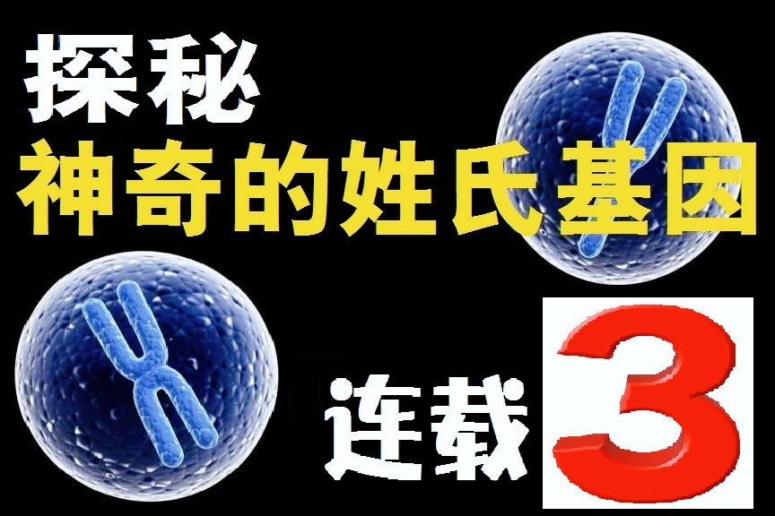 母系社会的姓_母系社会姓名_母系氏族社会姓氏