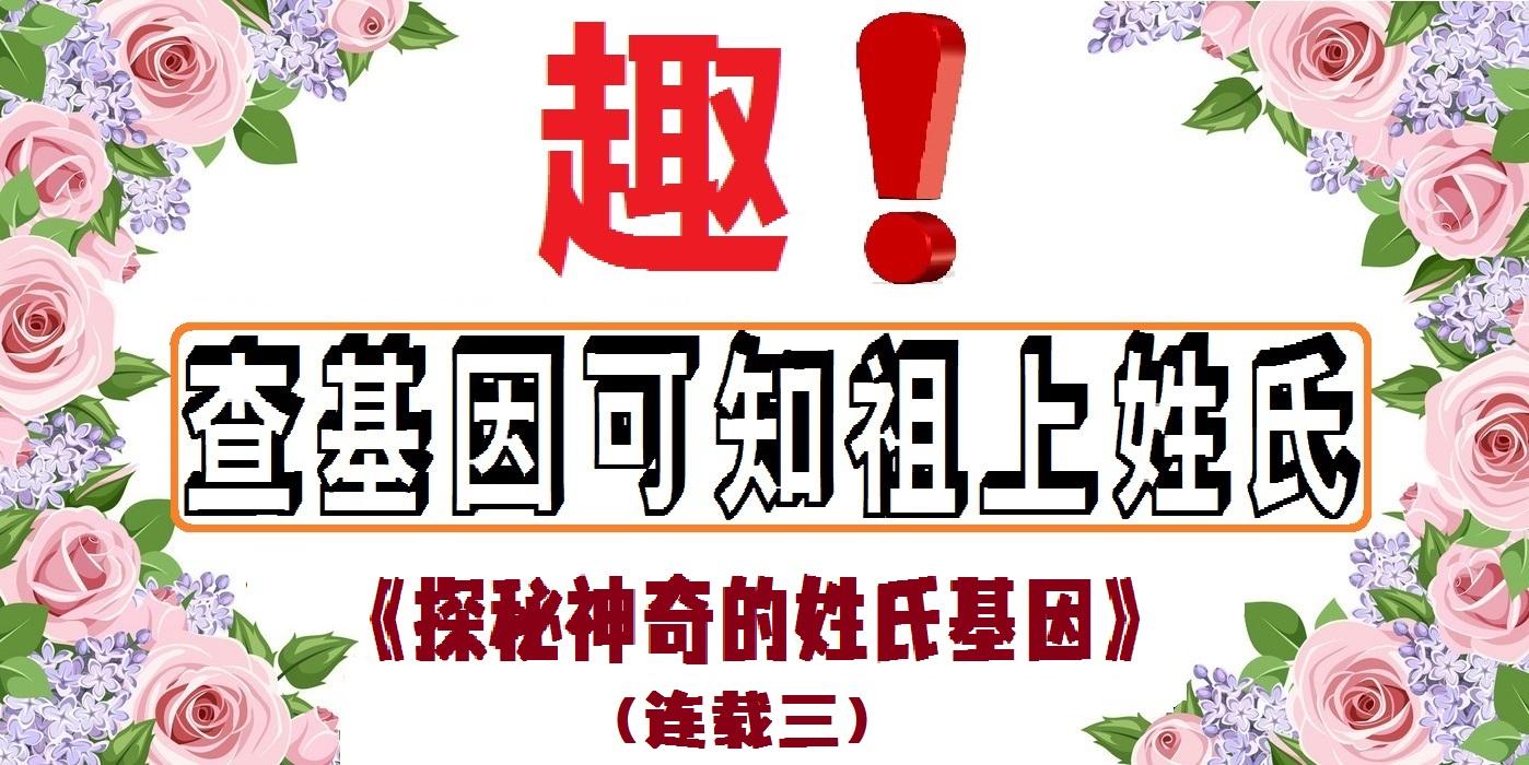 母系社会姓名_母系社会的姓_母系氏族社会姓氏