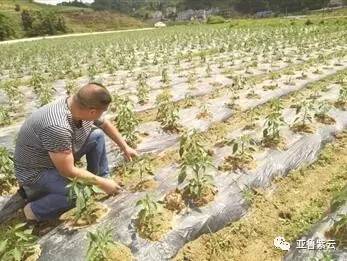 吴国学_吴国学豫资公司_吴国学豫资公司简历