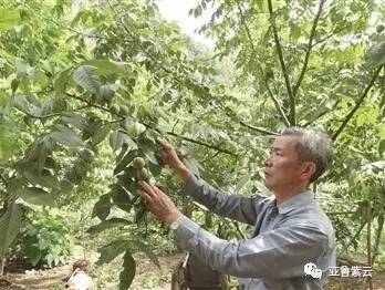 吴国学豫资公司简历_吴国学豫资公司_吴国学