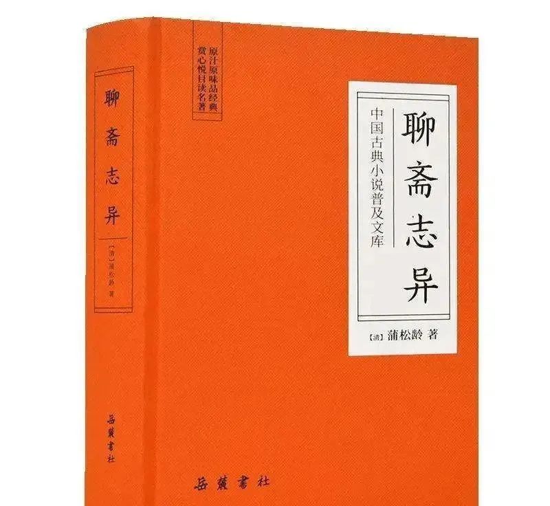 中小学必读书目：《聊斋志异》名著阅读+知识梳理