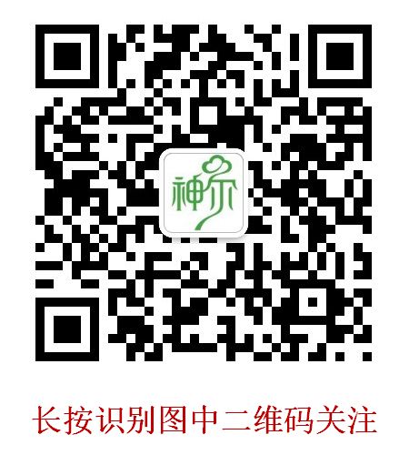 国学机_国学机是什么东西_国学机适合多大孩子用