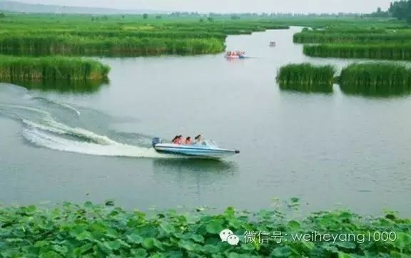 合阳历史名人_合阳历史名人介绍_陕西合阳名人有哪些