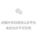 宝马3系历史车型_宝马历史车型_宝马轿车历史