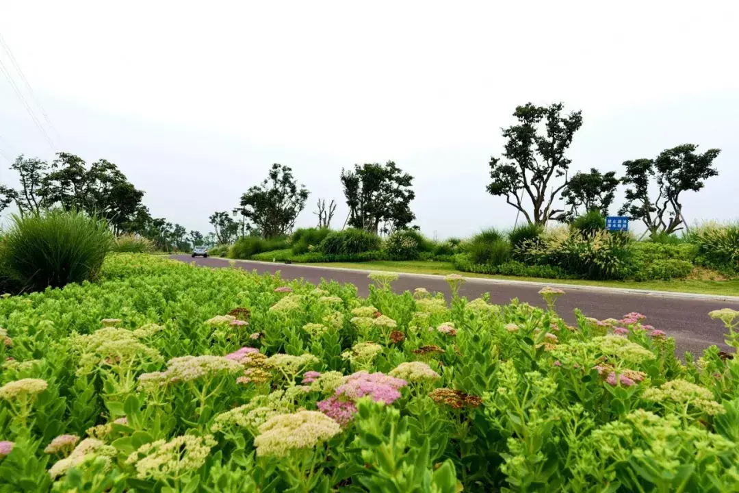 韩城文史公园投资_韩城文史公园在哪_韩城文史公园拆除违建