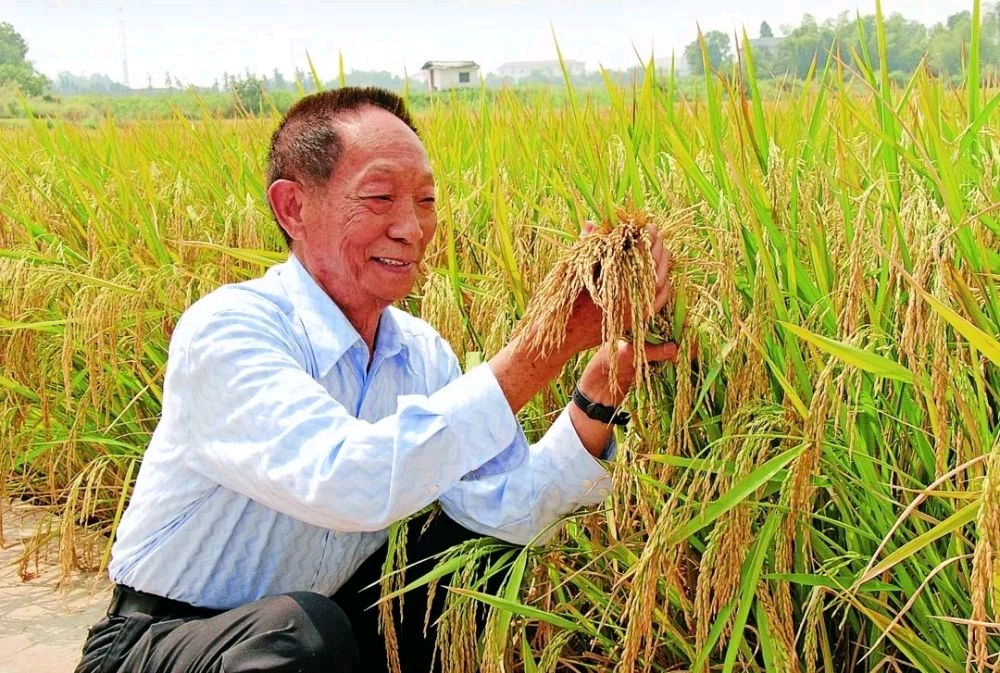 广东的历史人物名人_关于历史人物的历史名人_历史人物名人故事