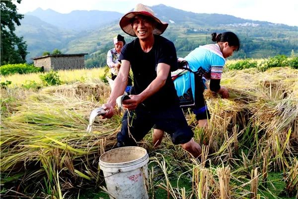 红河州名人录_红河的名人_红河州历史名人