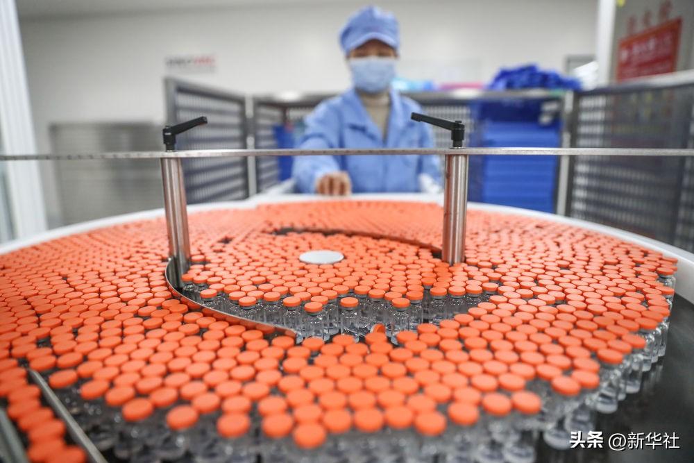 稳定社会是不是和谐社会_稳定社会的根本作用是什么_社会稳定是什么