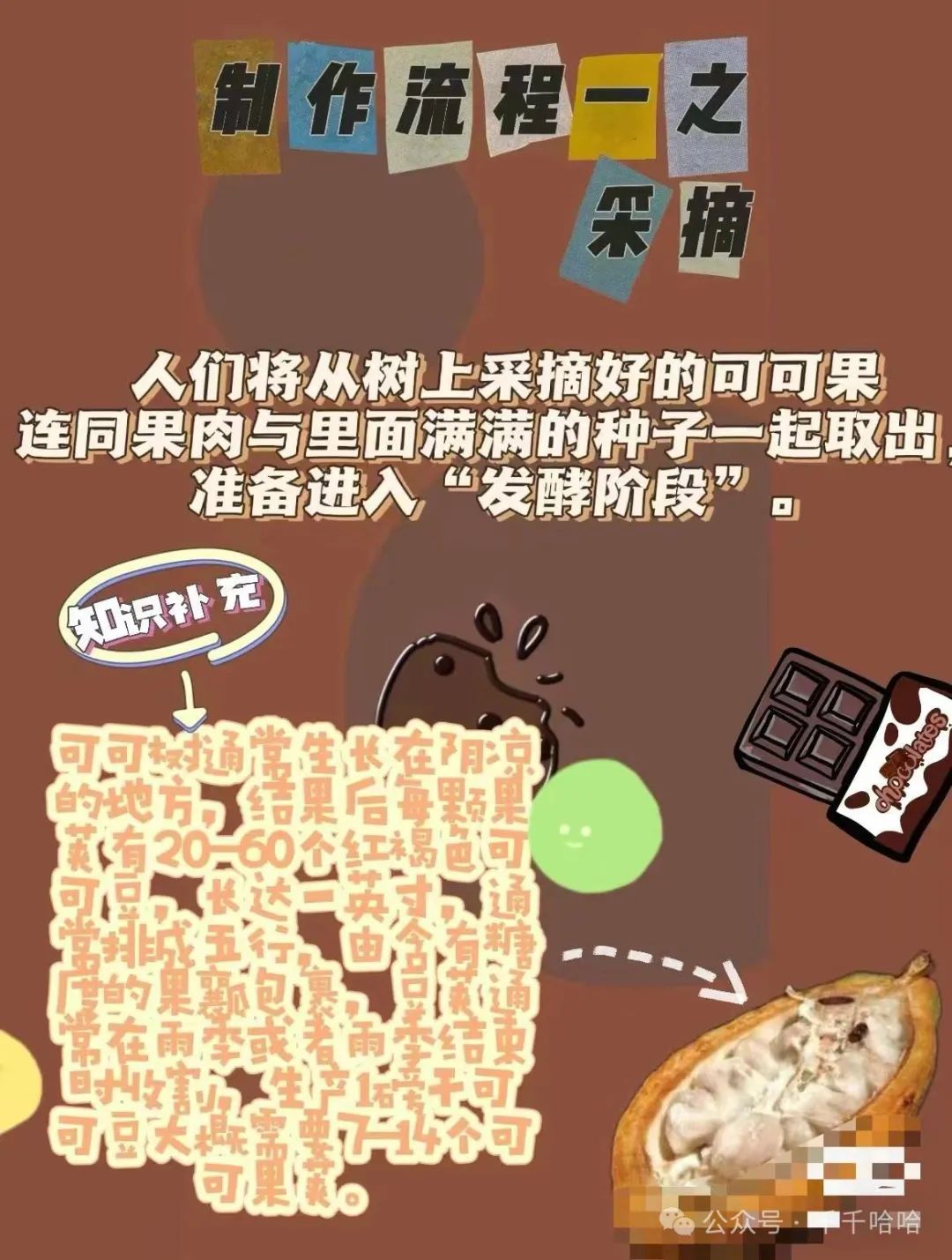 探索宇宙的边缘_探索._探索06价格