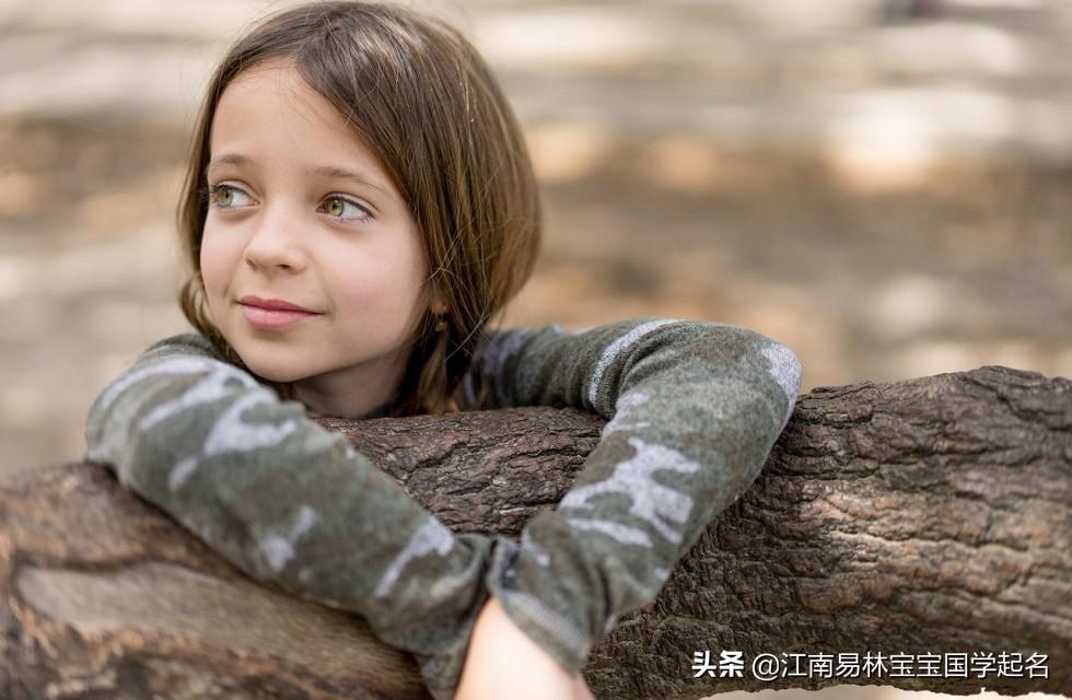 国学起名_起名国学分析是什么_起名国学分析是什么意思啊