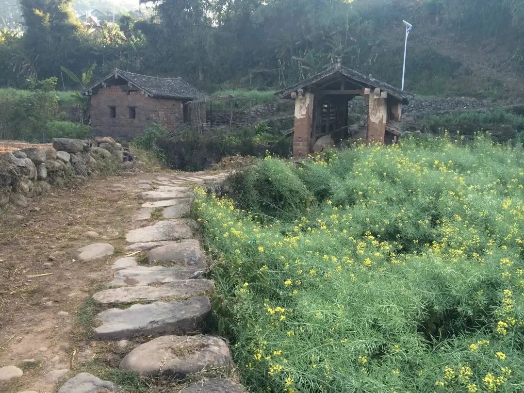 历史中的周姓名人_景谷历史人物_景谷历史名人