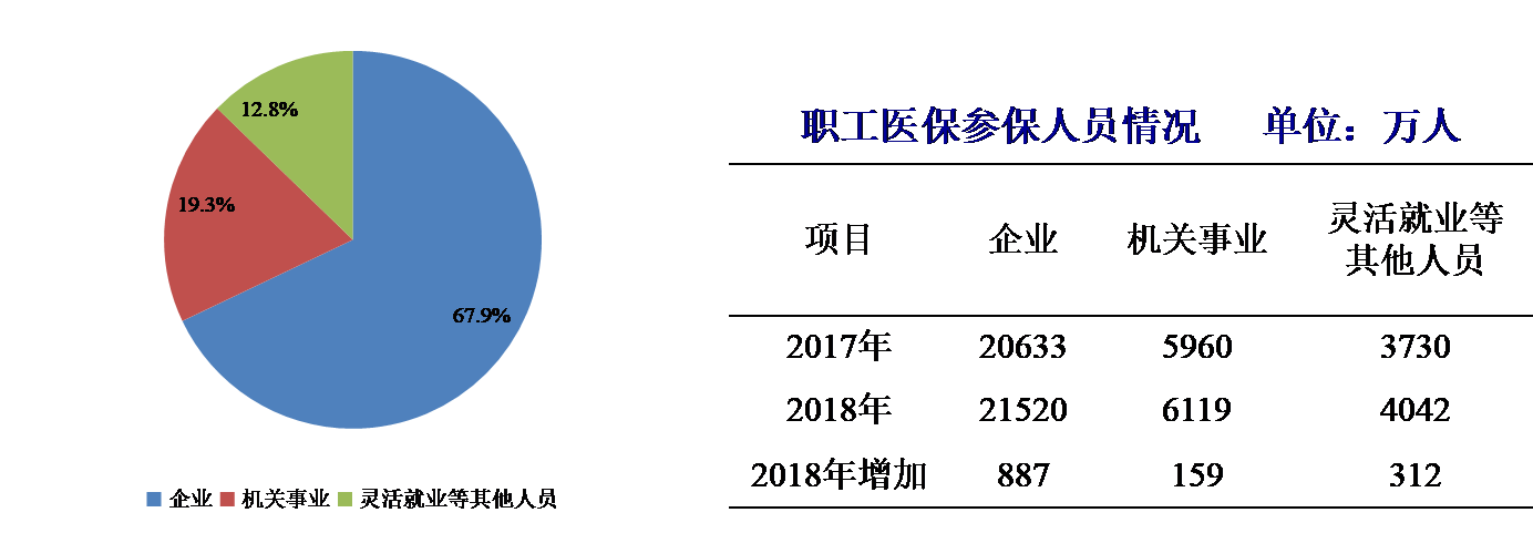 医疗社会保险的含义_社会医疗保险_医疗社会保险是指