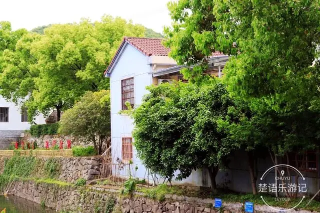 奉化这条老街有700年历史，周边有松溪八景，风光秀丽却少有人来