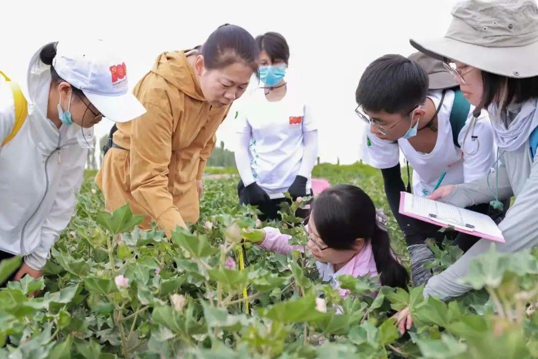 某中学开展假期社会实践活动_中学学生假期社会实践活动_开展寒假社会实践活动