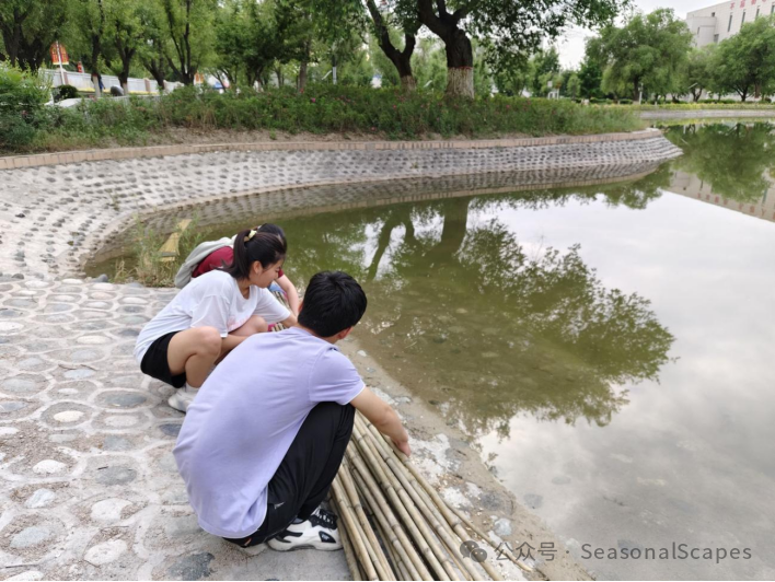 崩坏吧现实_礼崩乐坏的社会现实_崩坏的礼乐里失了明