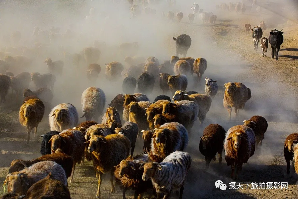 哈萨克历史名人图片_哈萨克历史名人_哈萨克名人有哪些