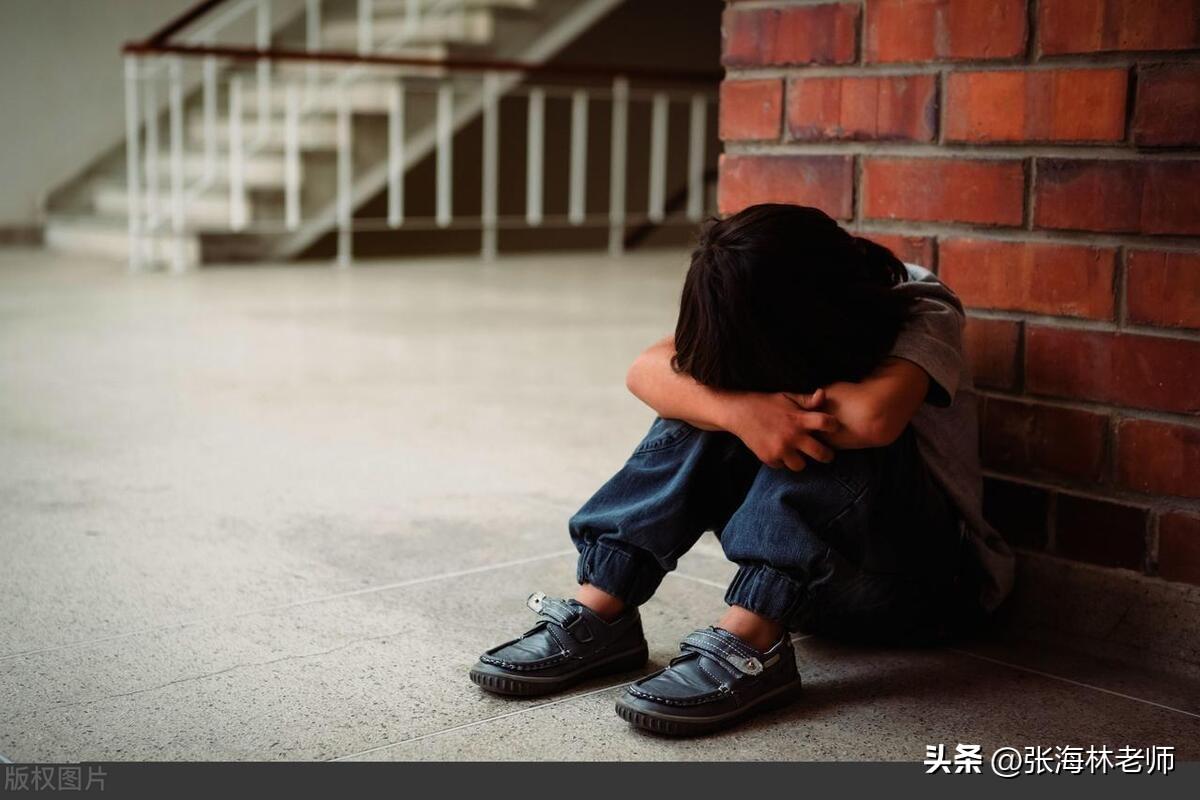 幼儿园社会教育的五大内容_幼儿园社会教育的具体内容_幼儿园社会教育