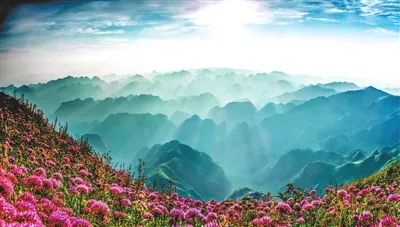 毕节的名人_毕节的历史名人_毕节历史有名人物