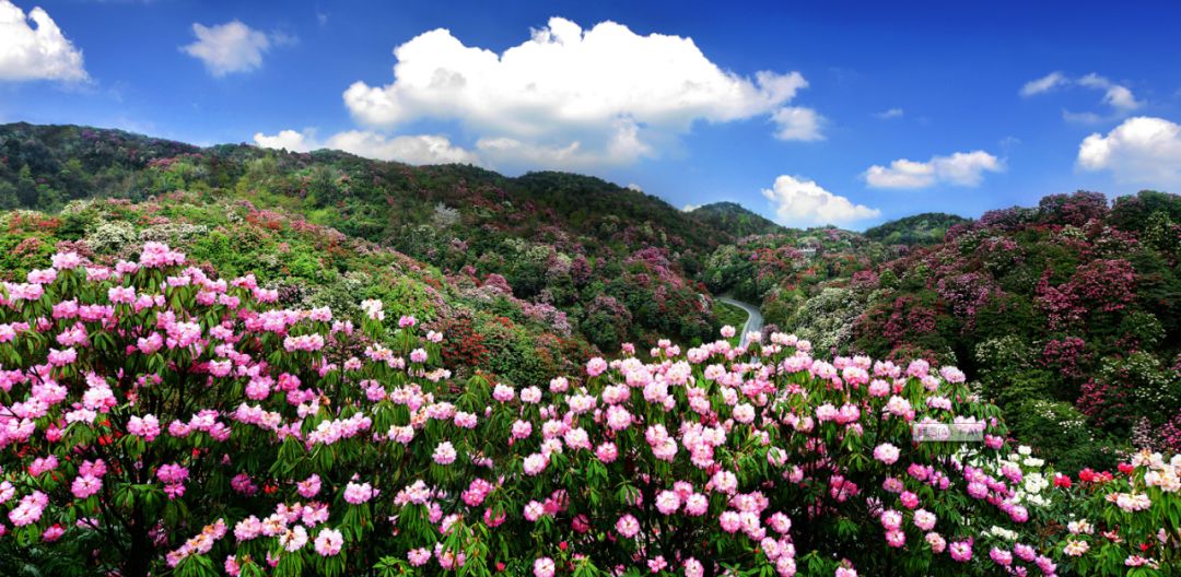 毕节的名人_毕节历史有名人物_毕节的历史名人