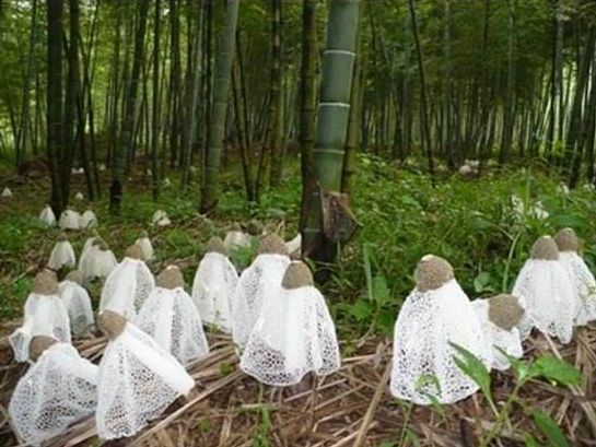毕节历史有名人物_毕节的名人_毕节的历史名人