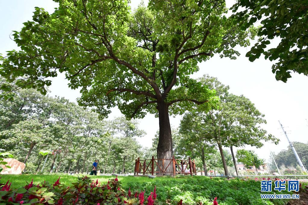 寻觅历史足迹_探寻历史足迹_探寻历史的足迹实践活动报告