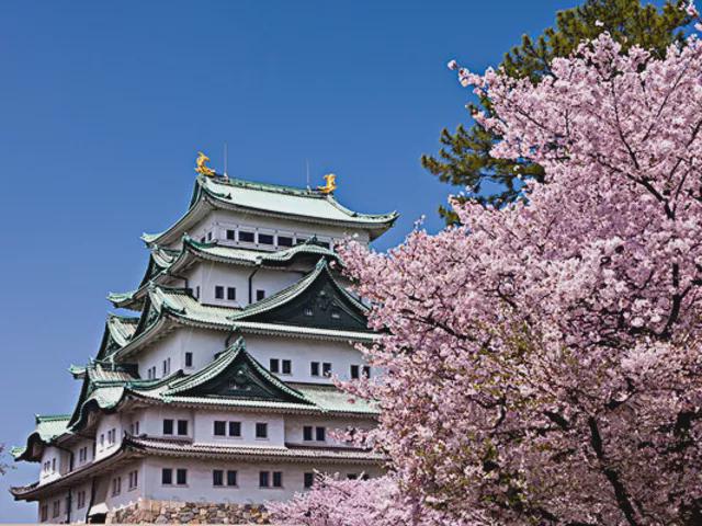 日本社会现状_日本社会为什么那么压抑_日本社会