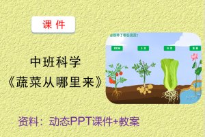 中班科学《蔬菜从哪里来》优质PPT课件教案